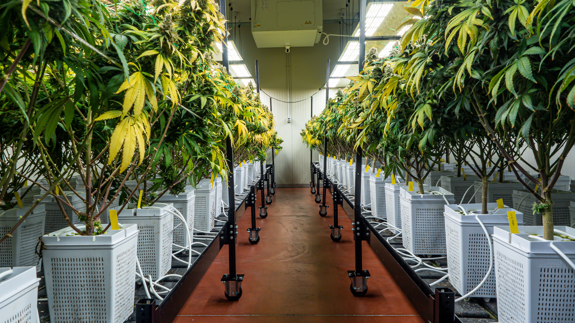 Getty Images 1441564756