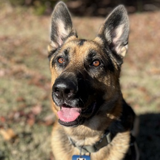 Kovu Cops Monitoring