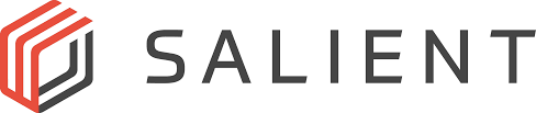 Salient Systems Logo