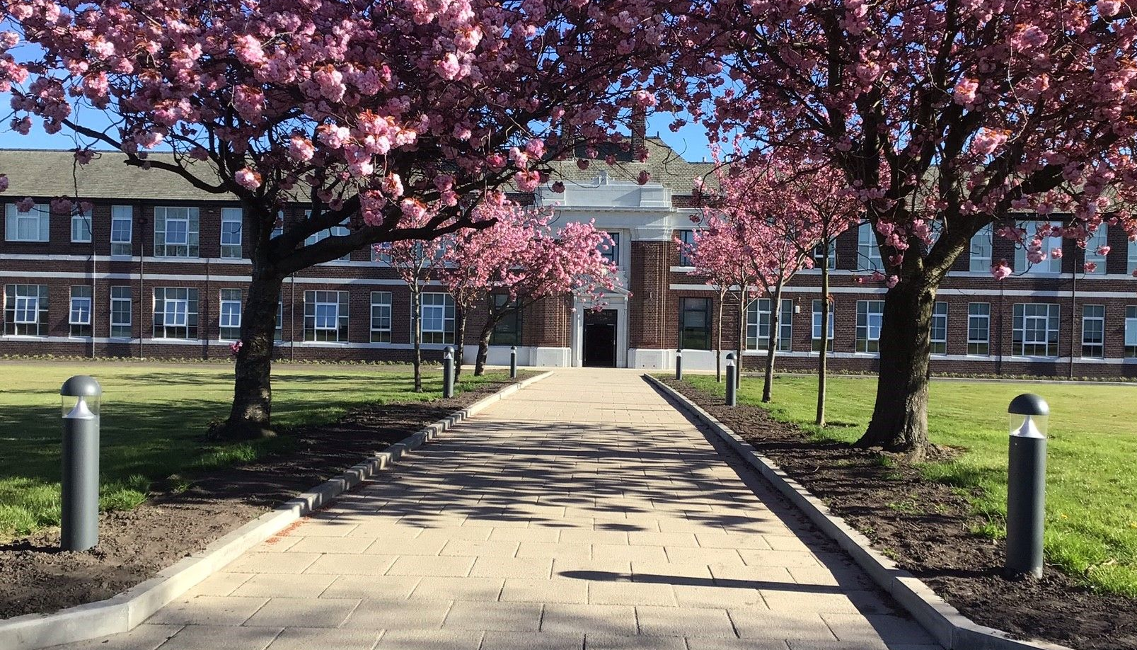 5 Dho X Co4 6454199f4ea07