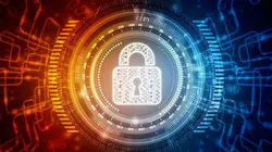 Oip 6479f2d4b18ee Oip 6479f2d4b18ee