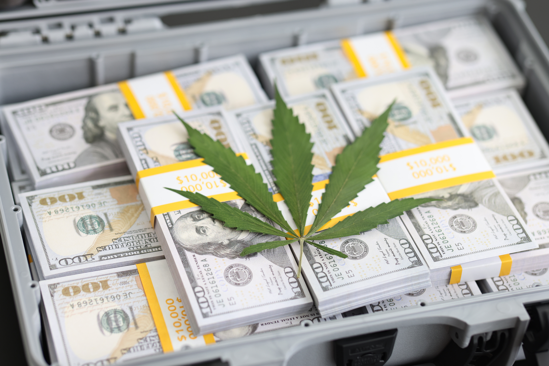 Bigstock Fresh Cannabis Leaf On Cash Mo 476297903 64b848974e873