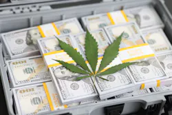 Bigstock Fresh Cannabis Leaf On Cash Mo 476297903 64b848974e873 Bigstock Fresh Cannabis Leaf On Cash Mo 476297903 64b848974e873