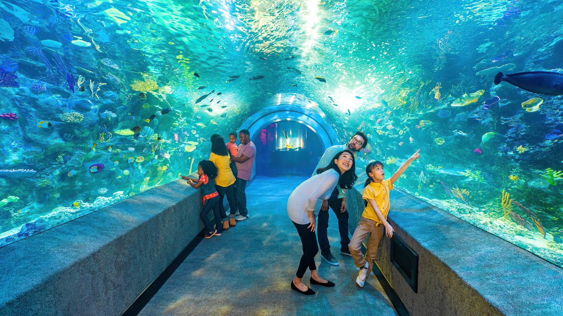 Newport Aquarium Pr Image 1