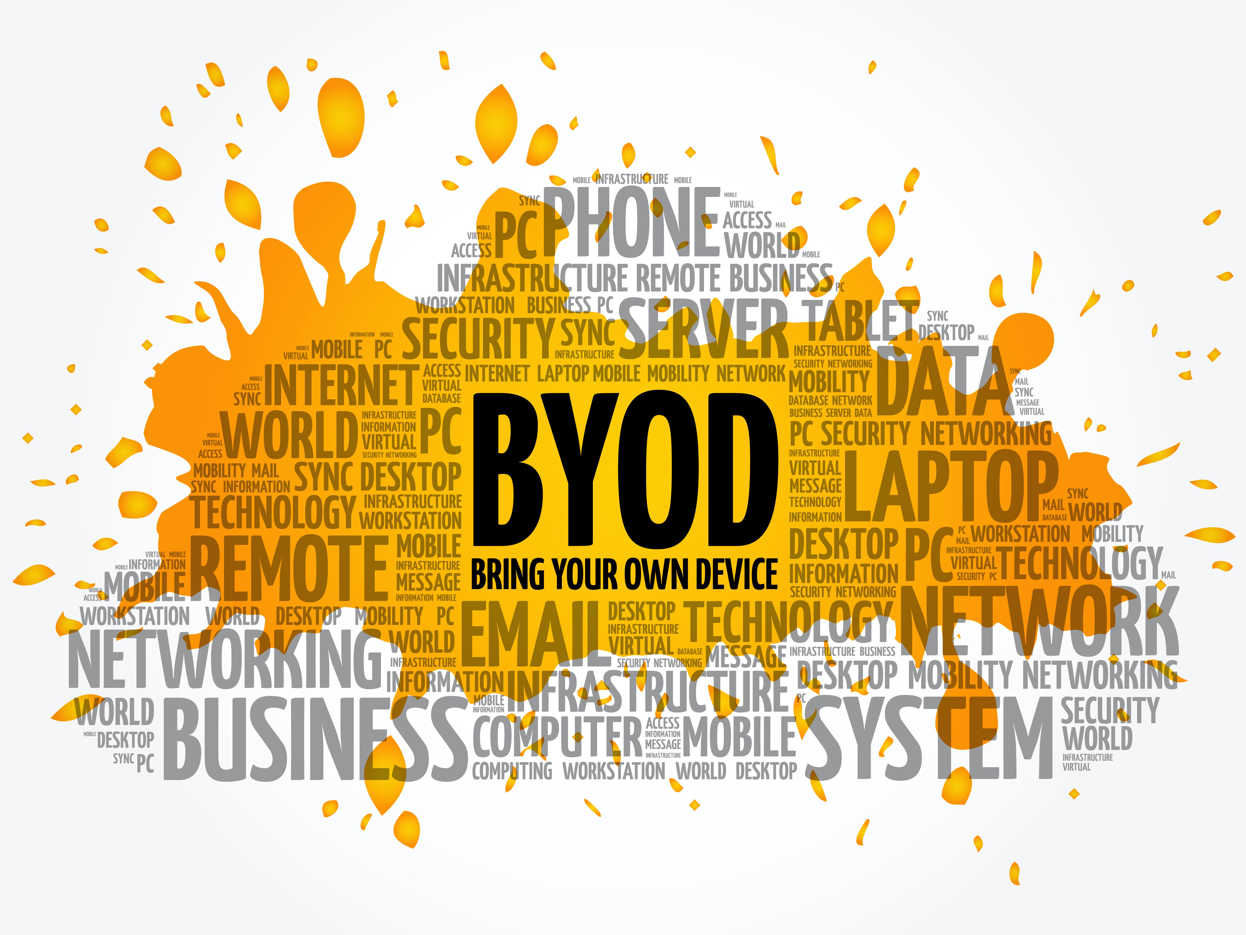 Some companies &ndash; especially in regulated sectors, and those that store highly sensitive data on endpoints &ndash; have zero appetite for risk and implement a black-and-white policy against personal devices for work use.