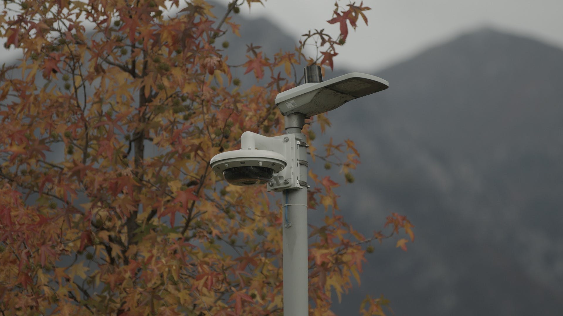 thumbnail_ipro_parco20mella204