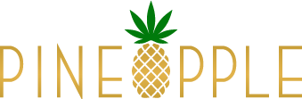 65d4c5bf97ab18001ebcbac6 Pineapplenoinclogo2