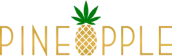 65d4c5bf97ab18001ebcbac6 Pineapplenoinclogo2 65d4c5bf97ab18001ebcbac6 Pineapplenoinclogo2