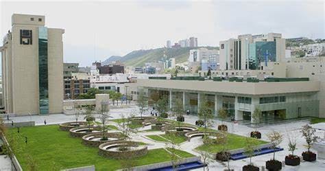 65dfc9b731c11b001e1b2ce8 Oip 44