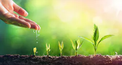 65f1d0265c8cbd001e6973a4 Gettyimages1126962479 65f1d0265c8cbd001e6973a4 Gettyimages1126962479