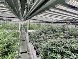 Grow and retail facilities benefit from a complete and comprehensive security assessment. Grow and retail facilities benefit from a complete and comprehensive security assessment.