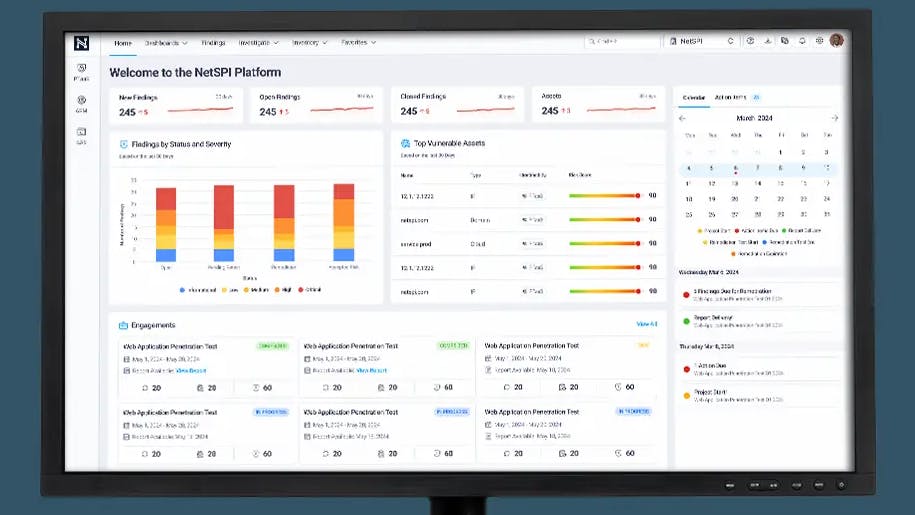 66327a58f6d59b00088cfc6e Netspiplatformpage 3 Desktop