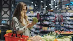 6658ed5ace8443bea8e54351 Inline Image Preview 6658ed5ace8443bea8e54351 Inline Image Preview