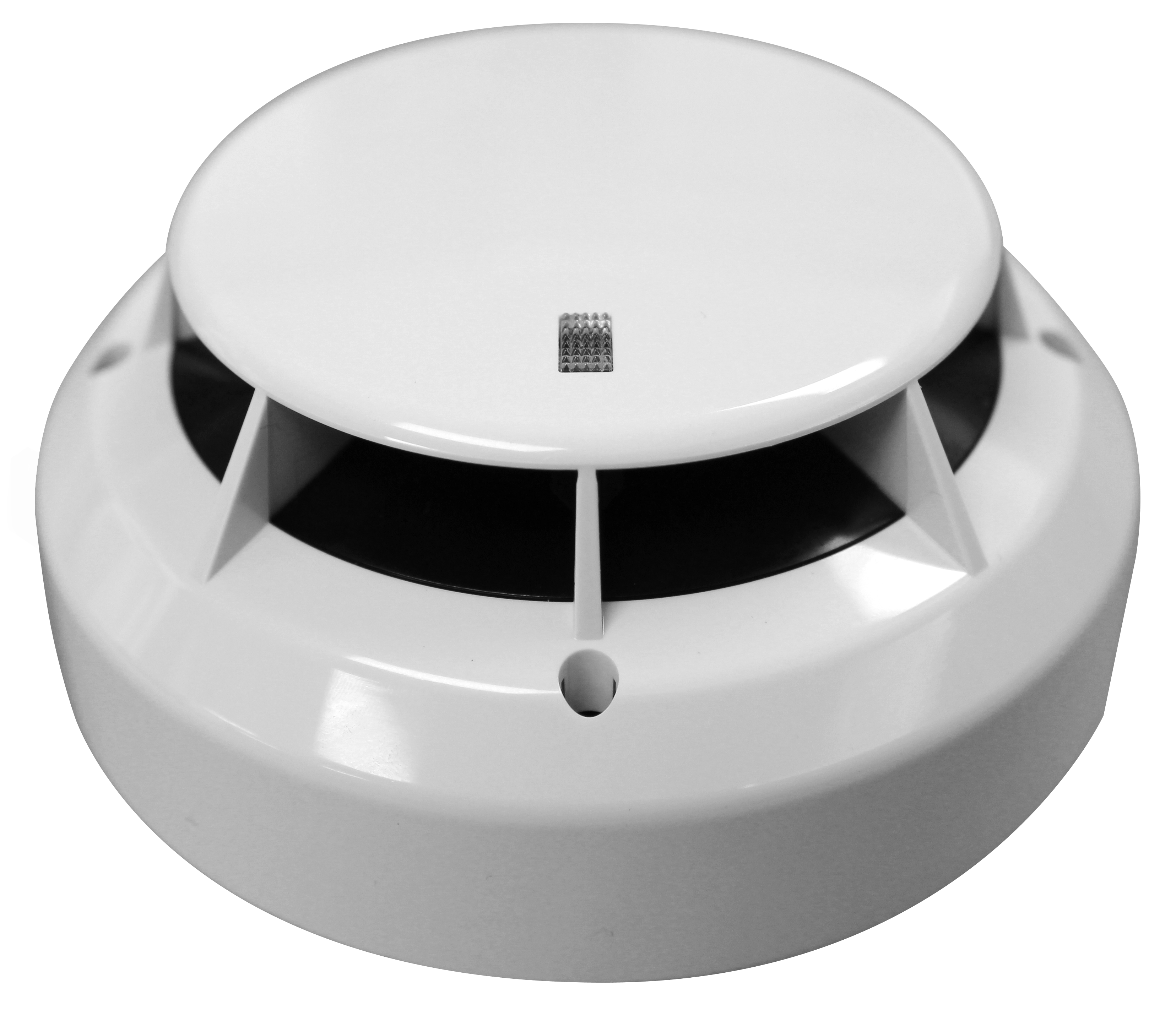 66bd0772149980dd6db606a0 Img 6277 Copy