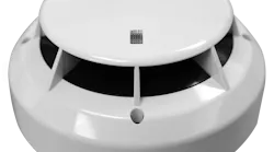 img_6277_copy img_6277_copy