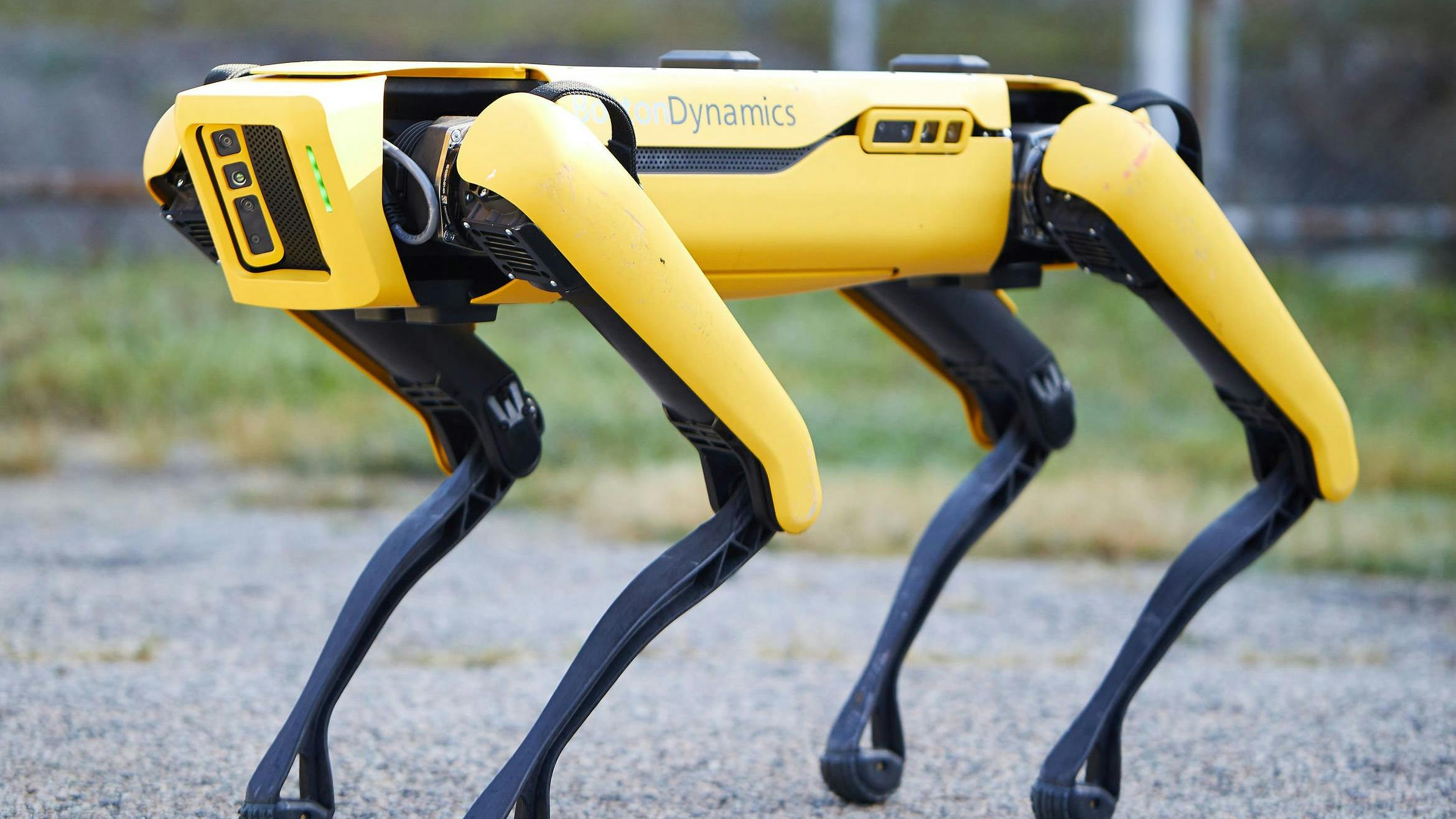 boston_dynamics_spot