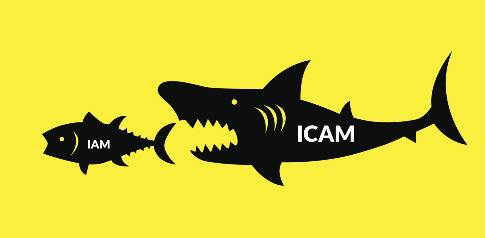 ICAM has replaced outdated password-based security with strong credentials, marking a fundamental shift in identity management.