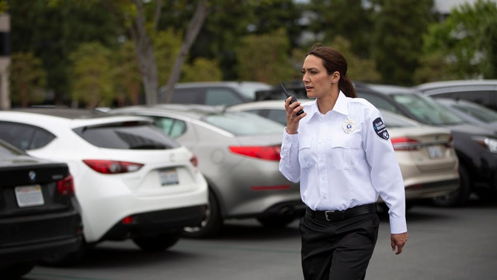 46e23ed64f1e43178c8d8e1d39e29f12