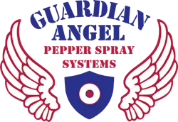 680a94807f6f80c129a9cff2 Thumbnail Guardian Angel Logo 2025 680a94807f6f80c129a9cff2 Thumbnail Guardian Angel Logo 2025