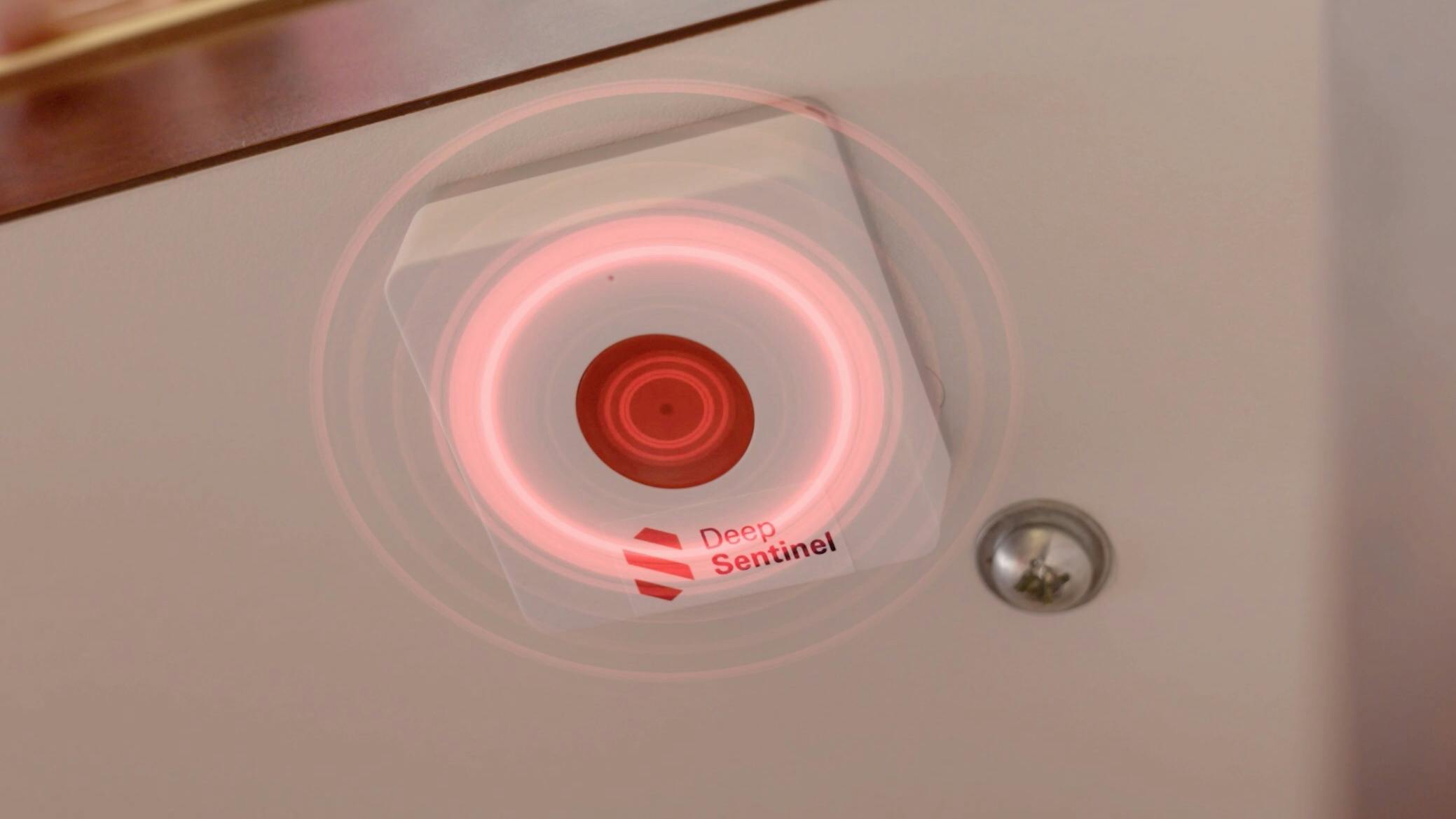 deep_sentinel_sentinelnow_button