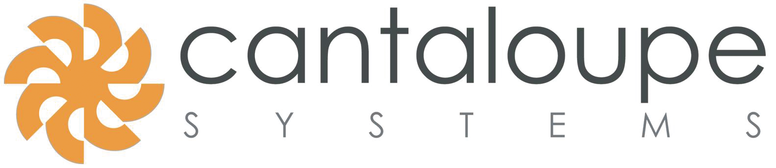 Cantaloupesystems 10108553