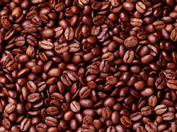 Coffee Beans 10430898 Coffee Beans 10430898