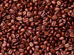 Coffee Beans 10569301 Coffee Beans 10569301
