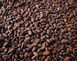 Cocoa Beans 10734677 Cocoa Beans 10734677
