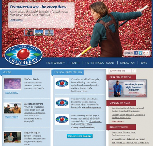 Cranberries Are Exceptional Si 10727119