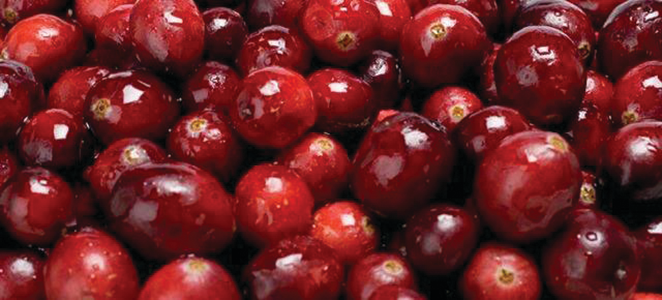 Cranberries 10734207