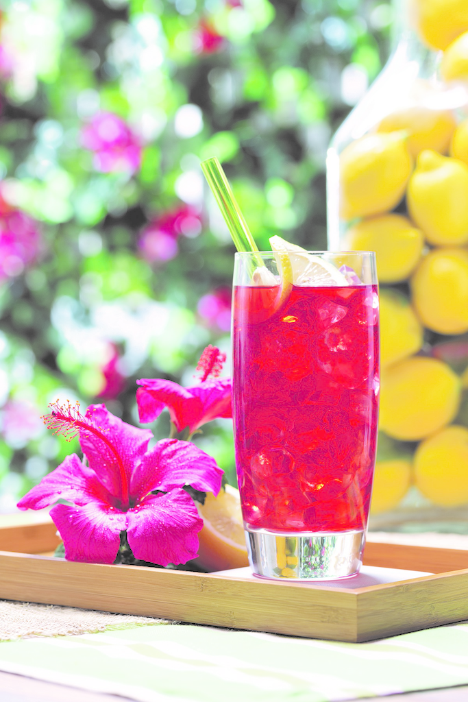 Gavina Specialty Iced Tea 11075531