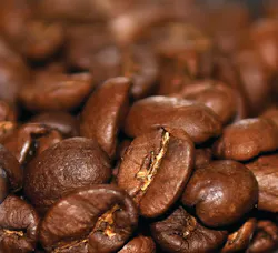 1111996 54360799 11456343 1111996 54360799 11456343