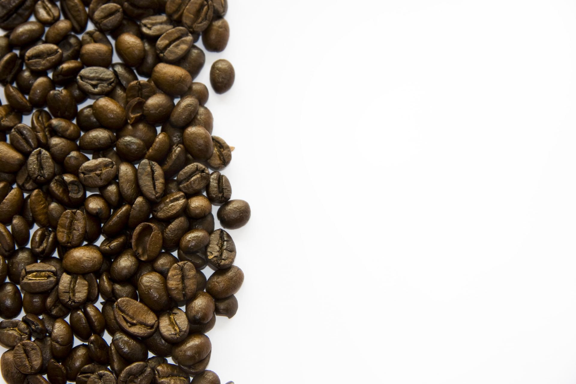 1209650 23624865 55d74c1207292