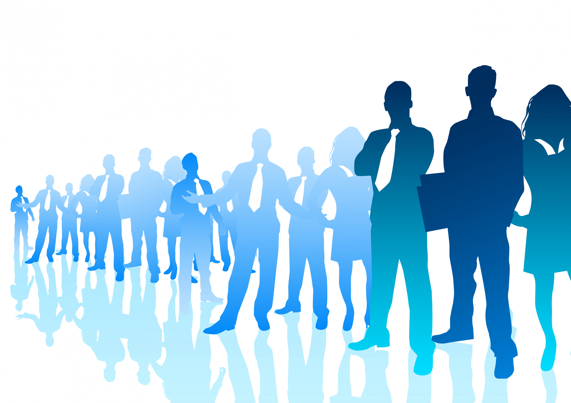 9197451 2437x3447 56686b8c37158