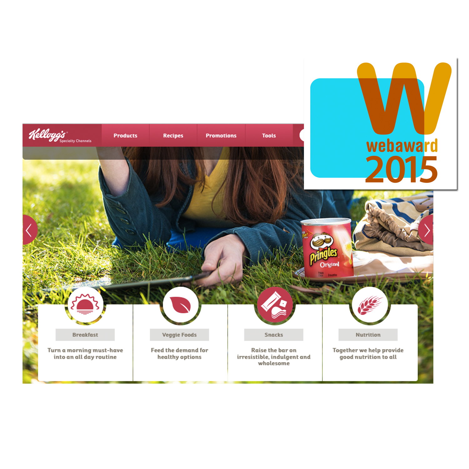 Web Award 1 1 565f33048f8d5