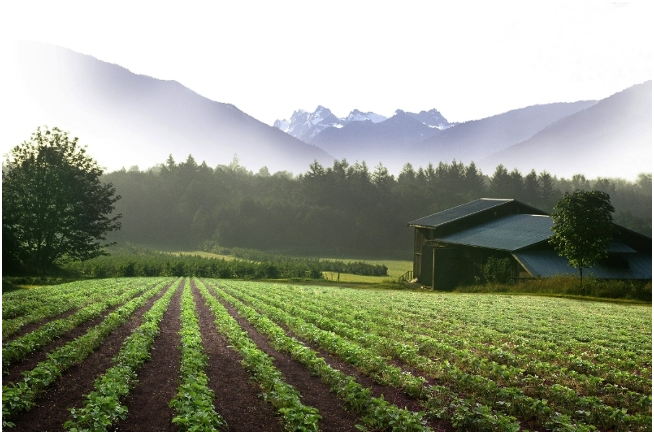 gm organic 56e0544505c7f