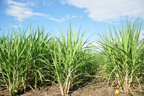 DSC 0727 573f34d704b5e