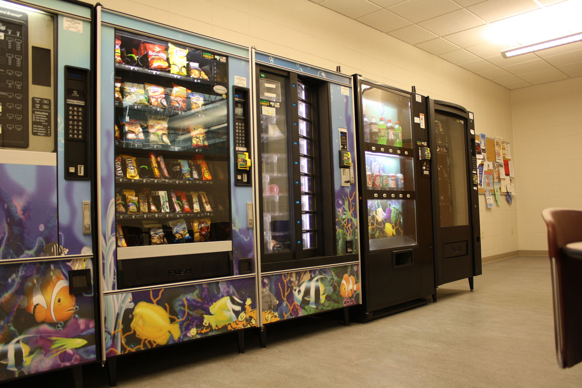 Img 8400 5820b4ebe3003