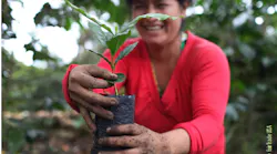 gavina direct impact 58adbc4da75a4 gavina direct impact 58adbc4da75a4