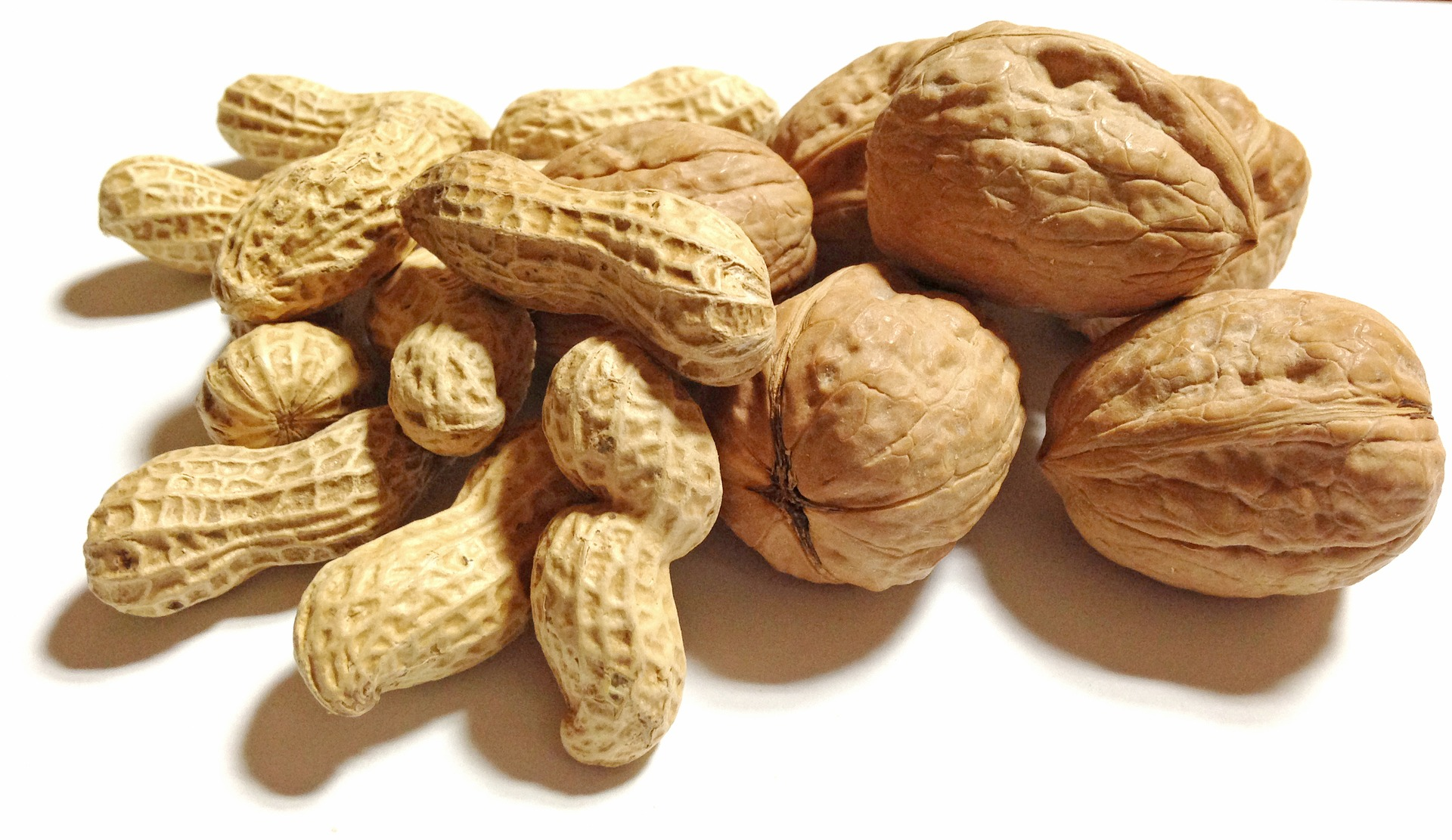 Nuts 5908f327ee6e5