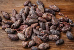 Cacao Bean 2522918 1920 59a050e21bc56 Cacao Bean 2522918 1920 59a050e21bc56