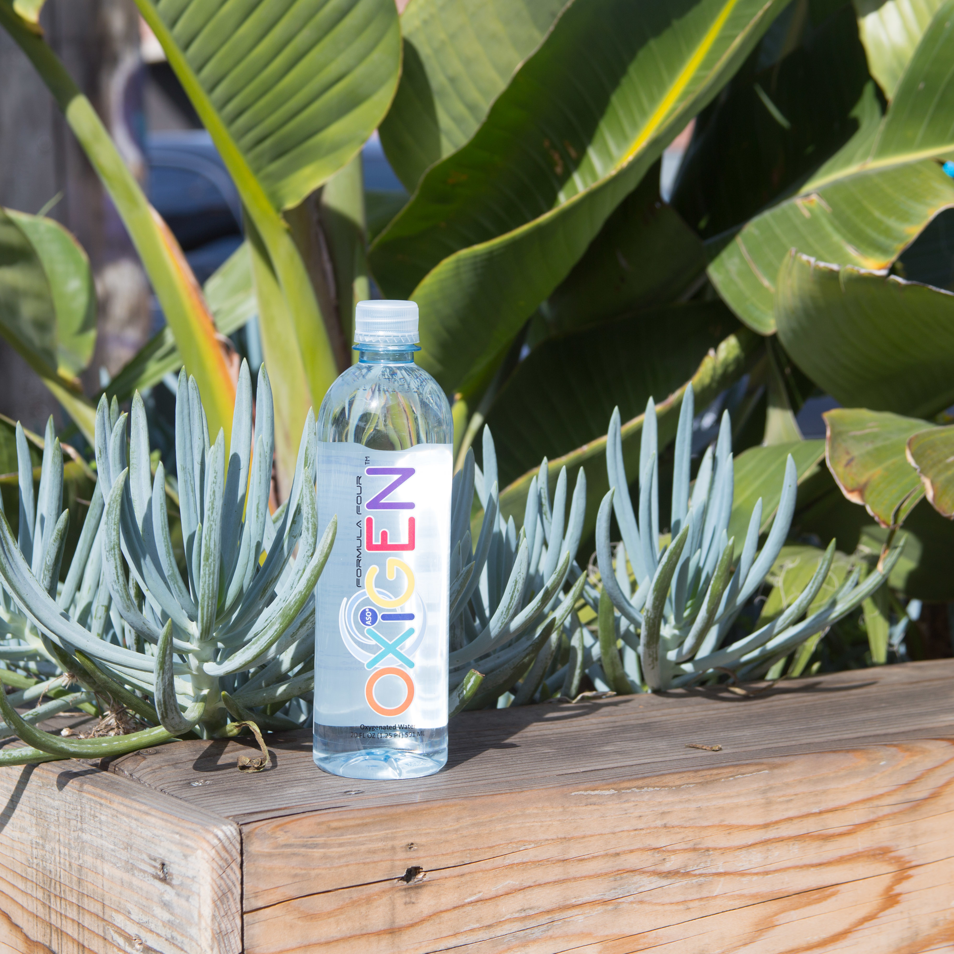 Oxigen 5b3115648edf4