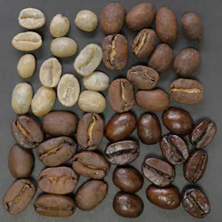 Nousnou Iwasaki 45718 Unsplash 5c634133b42b9 Nousnou Iwasaki 45718 Unsplash 5c634133b42b9