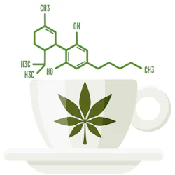 I Stock 1126711628 01 5c867dc4d2595 I Stock 1126711628 01 5c867dc4d2595