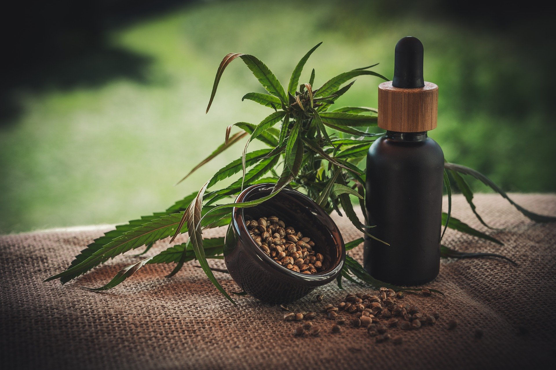 Cbd 4474903 1920 5ddea2b56e1df