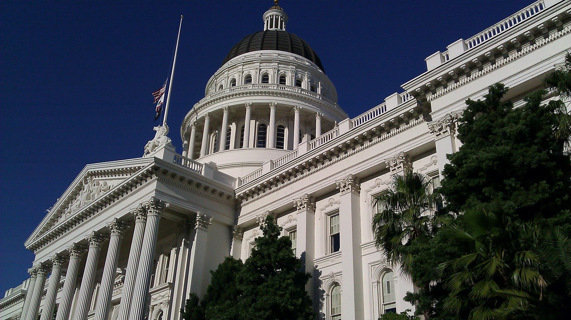 California's ban on latex gloves in foodservice begins Jan. 1, 2020.