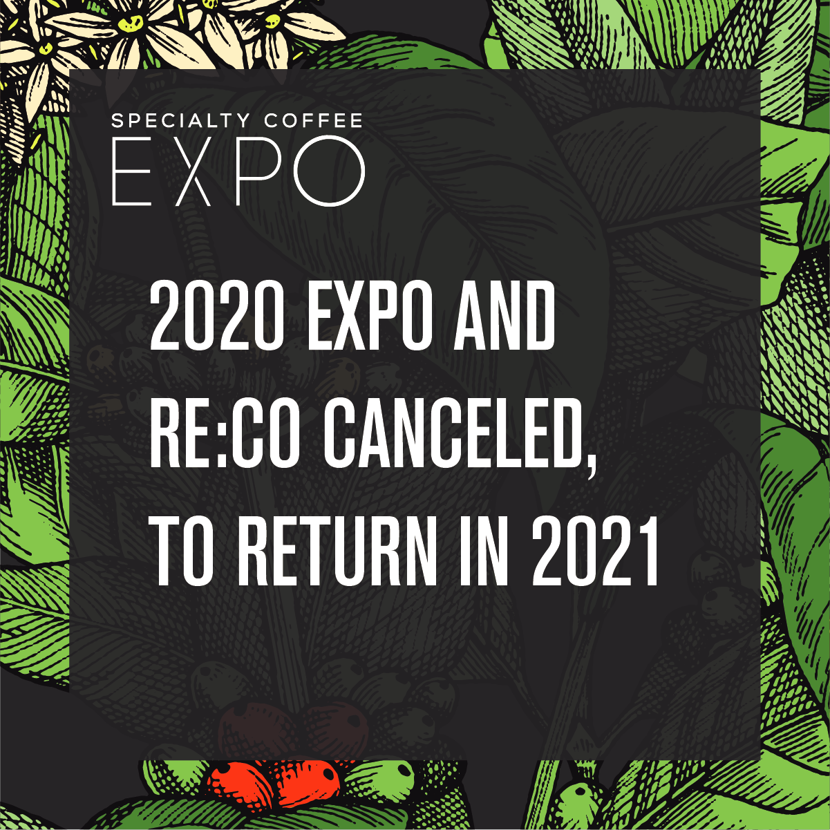 Expo Social Media Announement 1 5e7ccfe265f4d