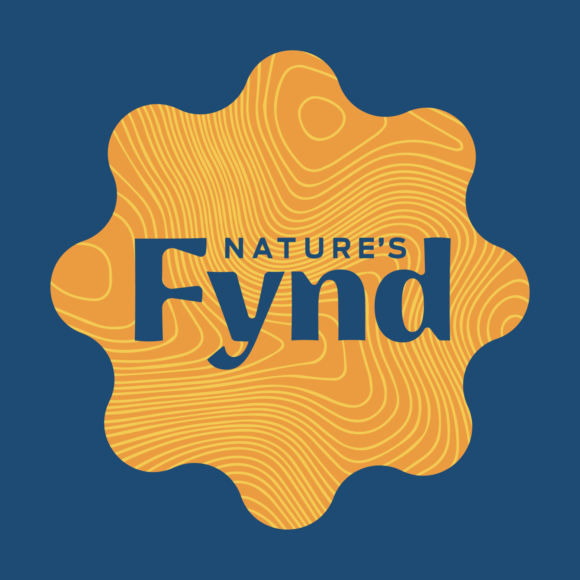 Fynd Assets V1 Square 1
