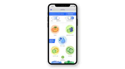 Screen Shot 2020 06 15 At 10 17 29 Am Screen Shot 2020 06 15 At 10 17 29 Am