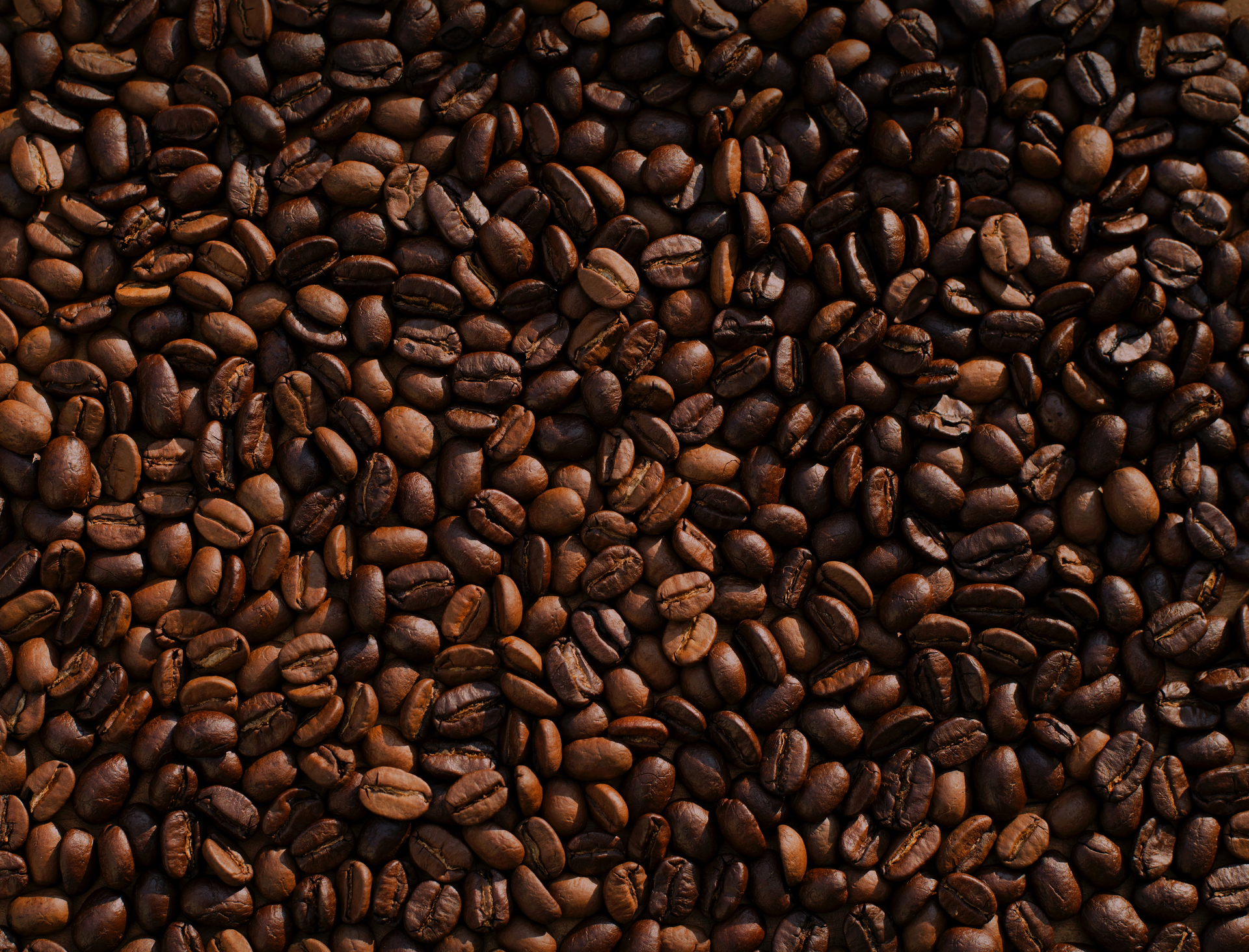 Mike Kenneally Td4 D Bagg2w E Unsplash 5eea34f94a907